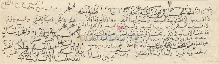 Halim Efendi Karalama - Görsel 3